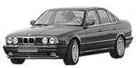 BMW E34 P0000 Fault Code